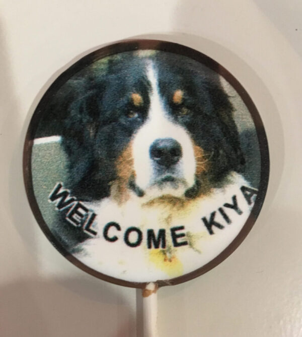 A close up of a cake pop with a dog on it
