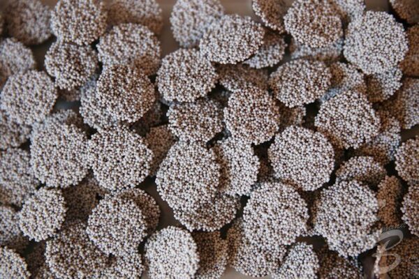 A close up of some food that is on the table