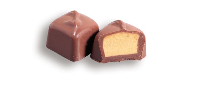 A close up of two pieces of chocolate